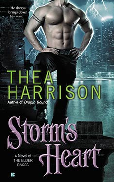 Cover of Storm's heart