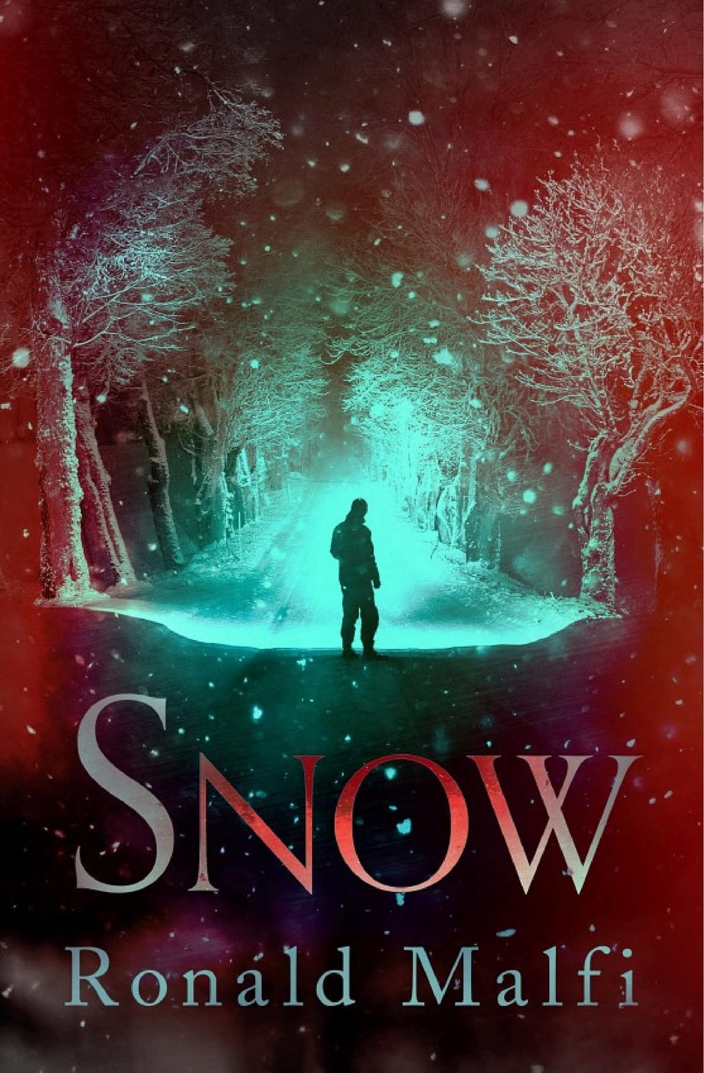 Cover of Snow