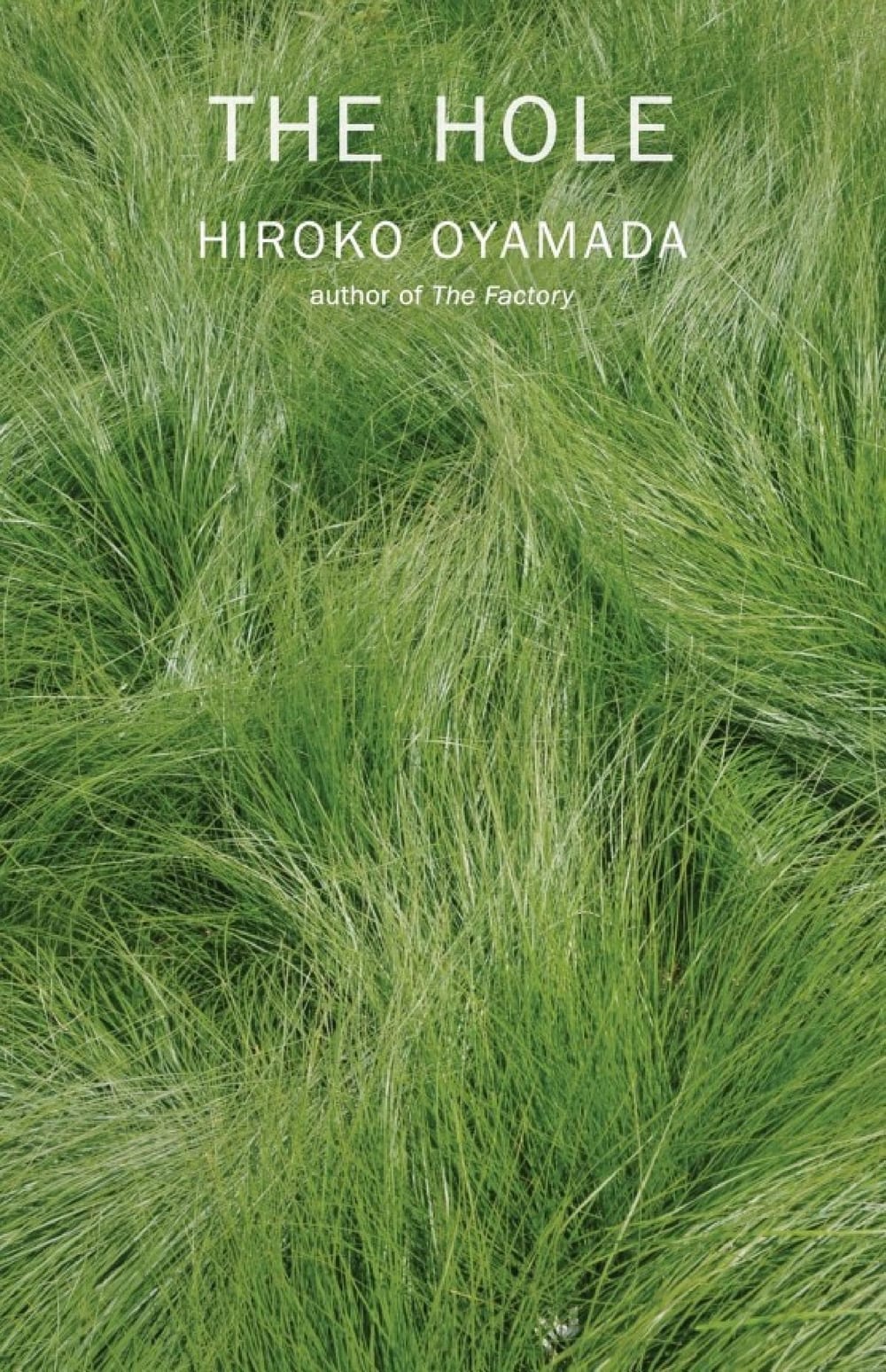 Cover of The Hole