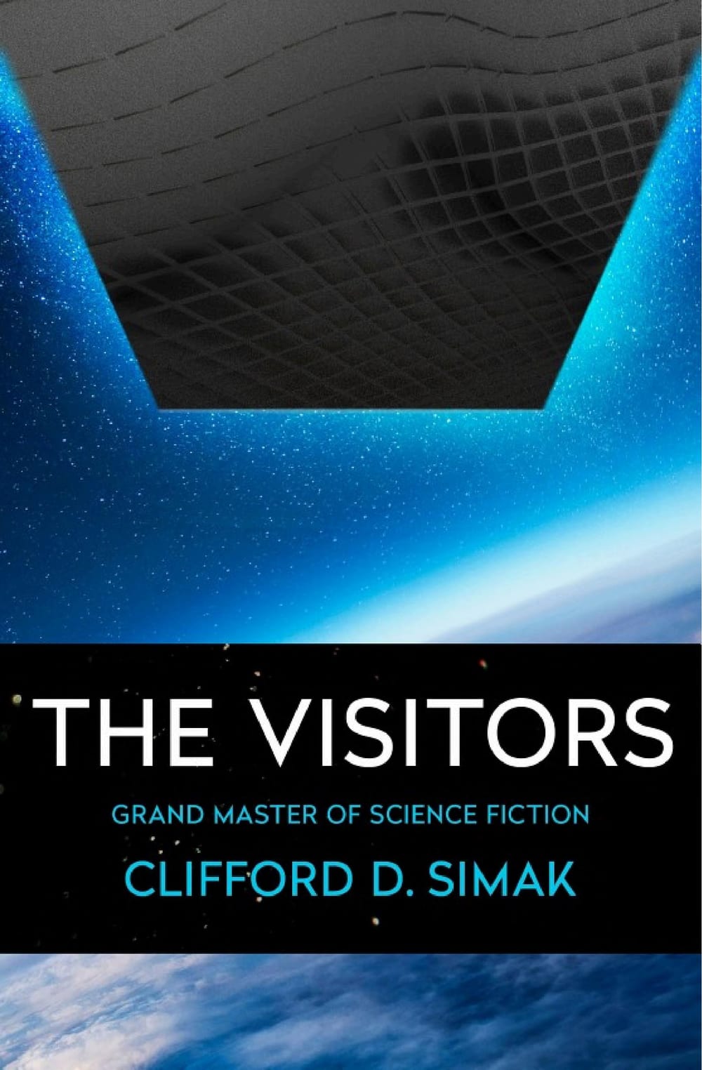 Cover of The Visitors