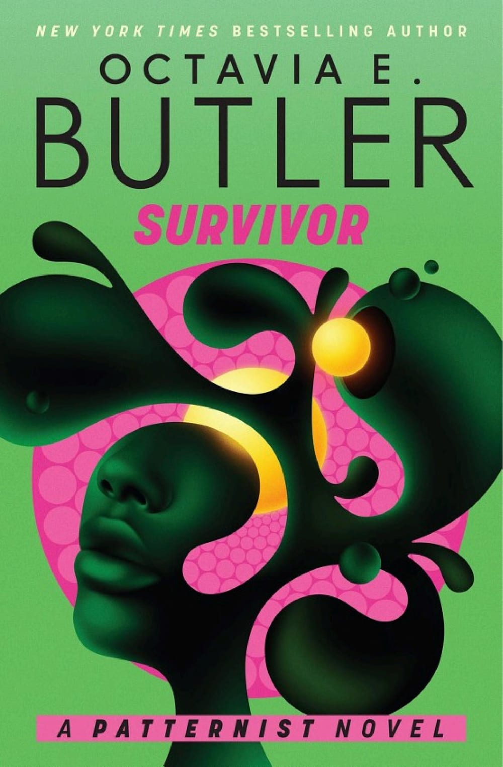 Cover of Survivor
