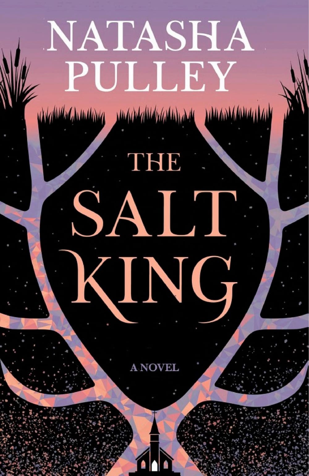 Cover of The Salt King