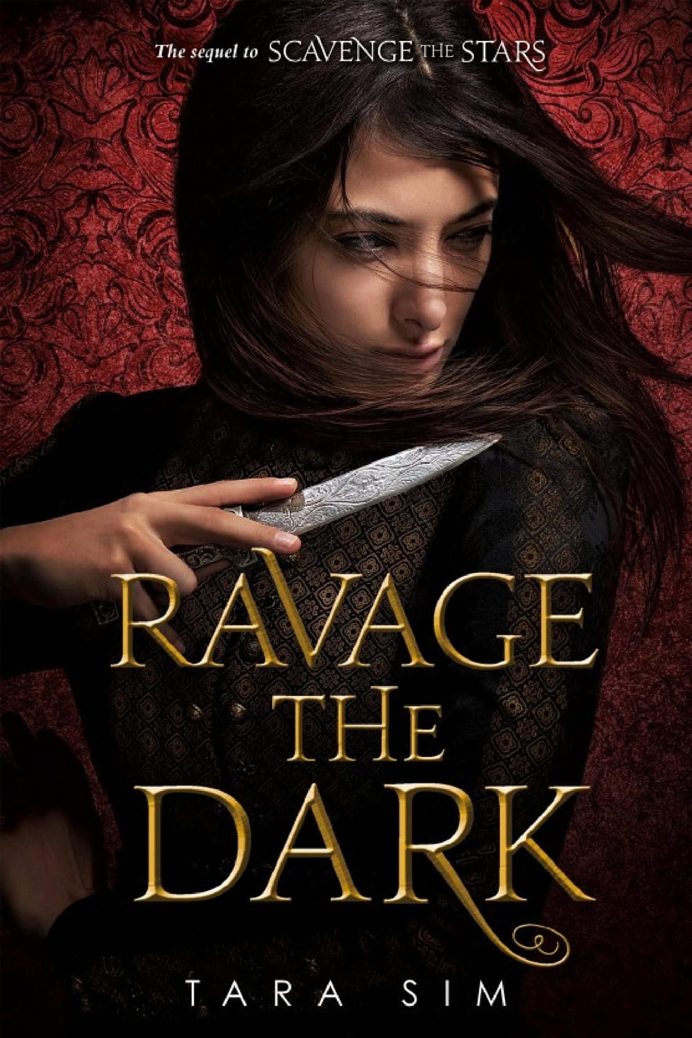 Cover of Ravage the Dark