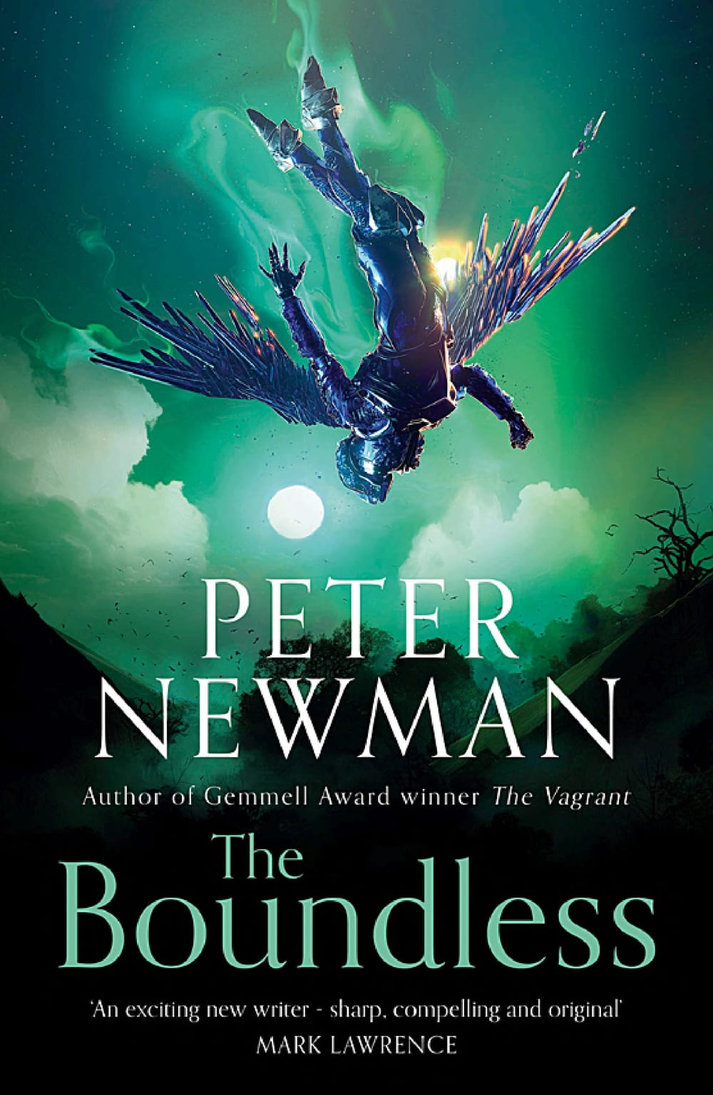 Cover of The Boundless