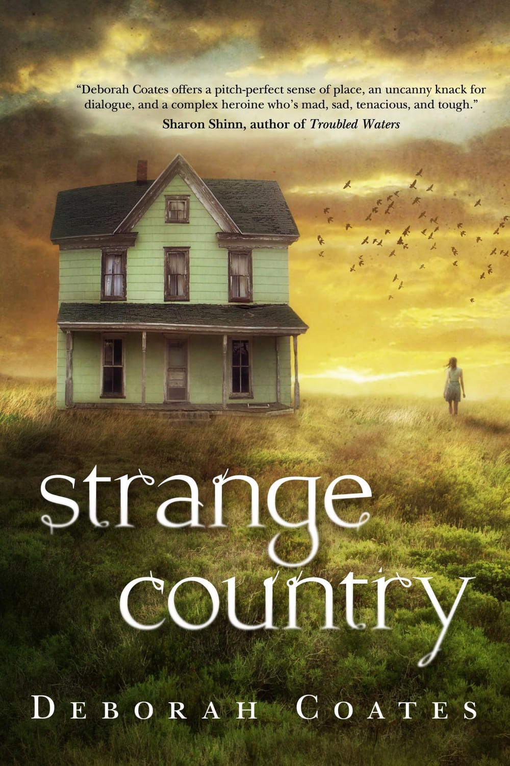 Cover of Strange Country