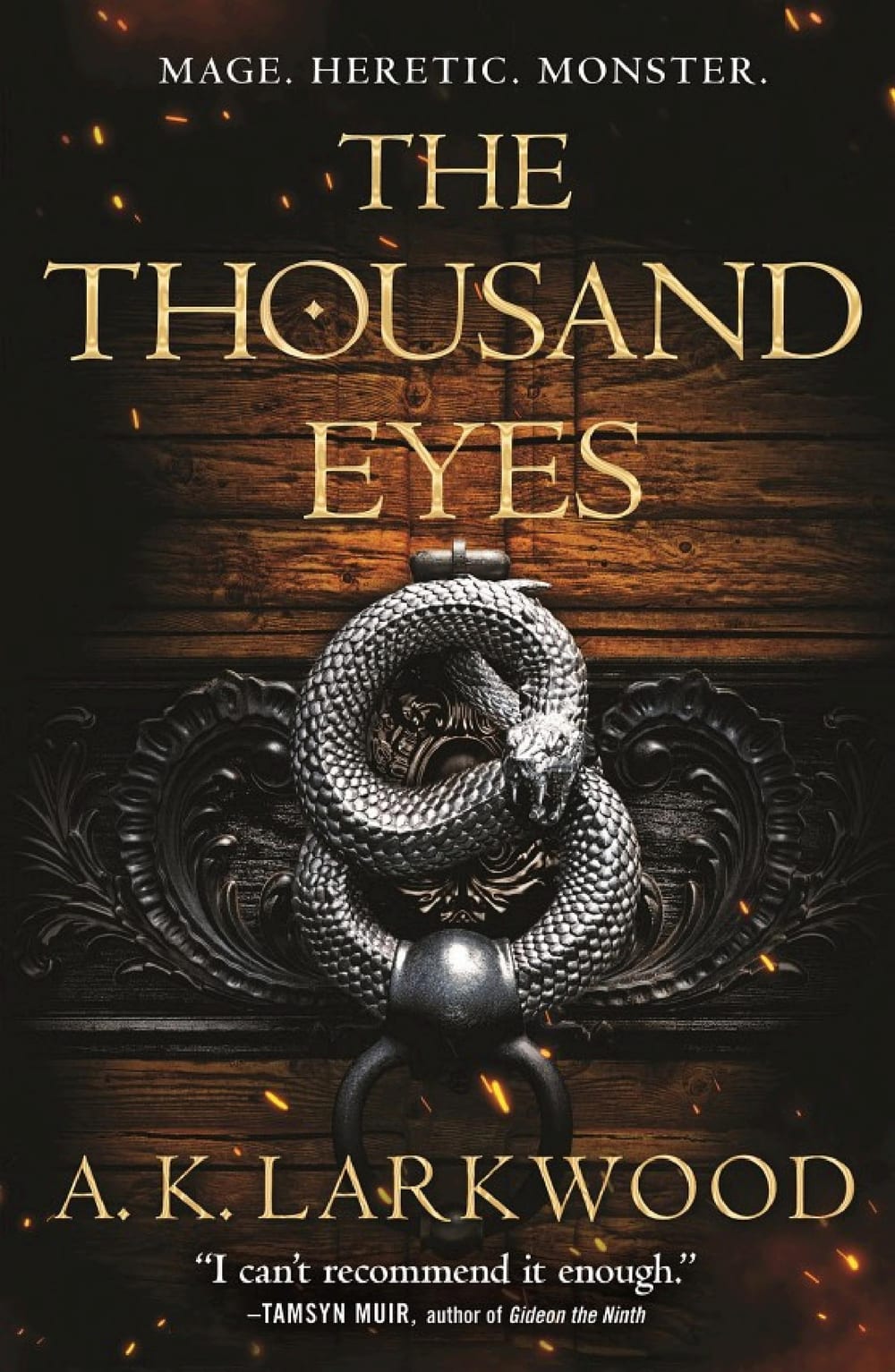 Cover of The Thousand Eyes