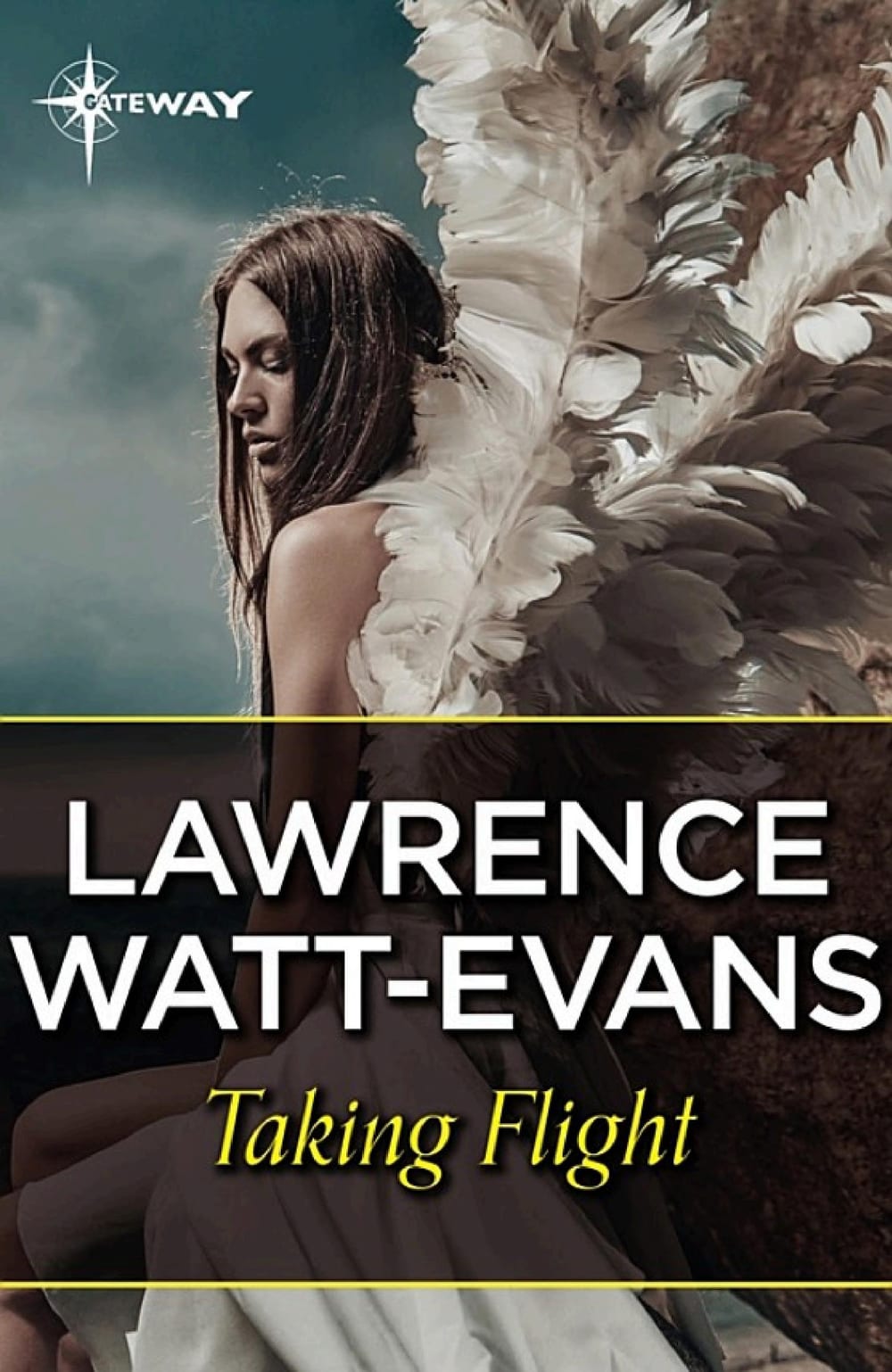 Cover of Taking Flight