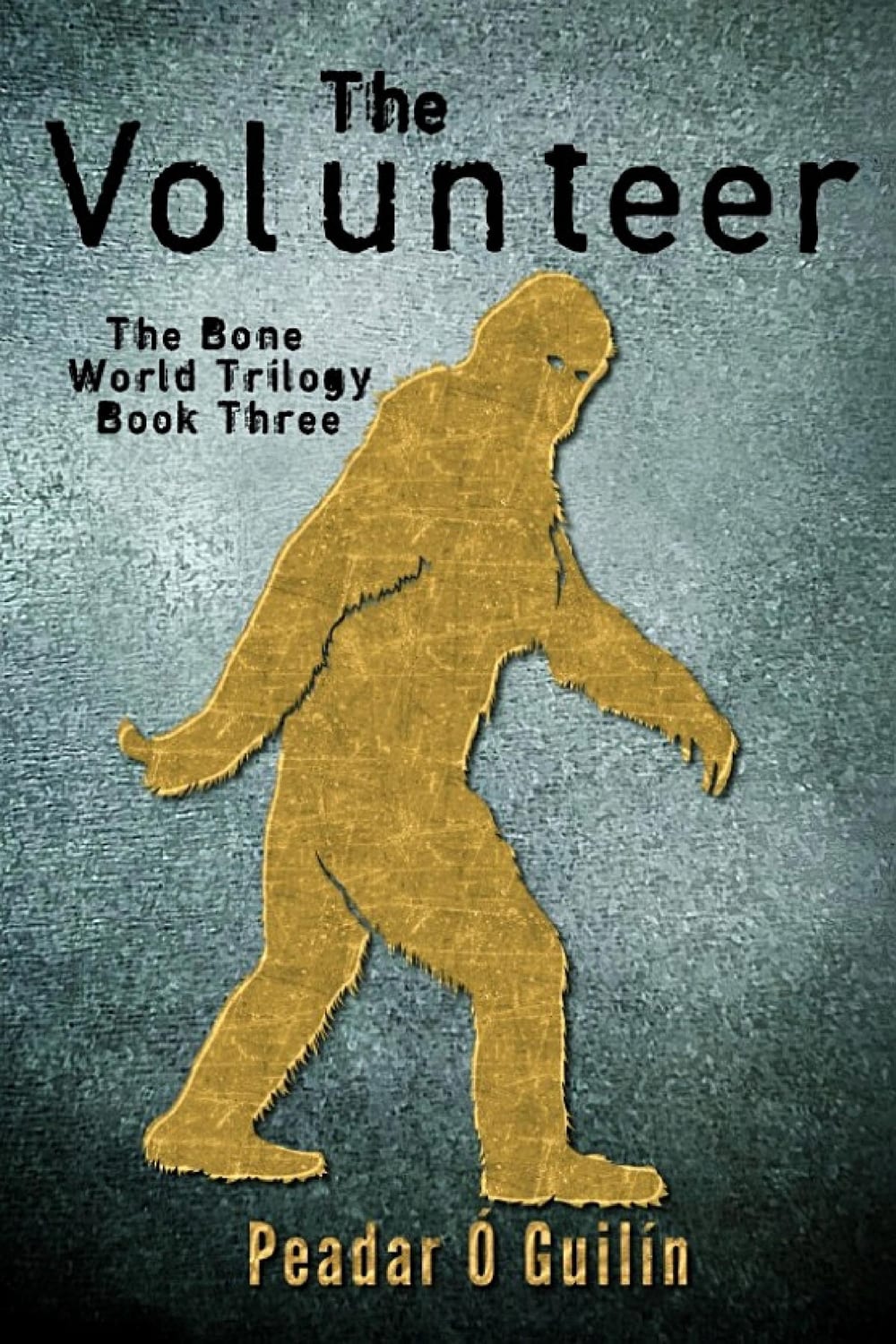 Cover of The Volunteer