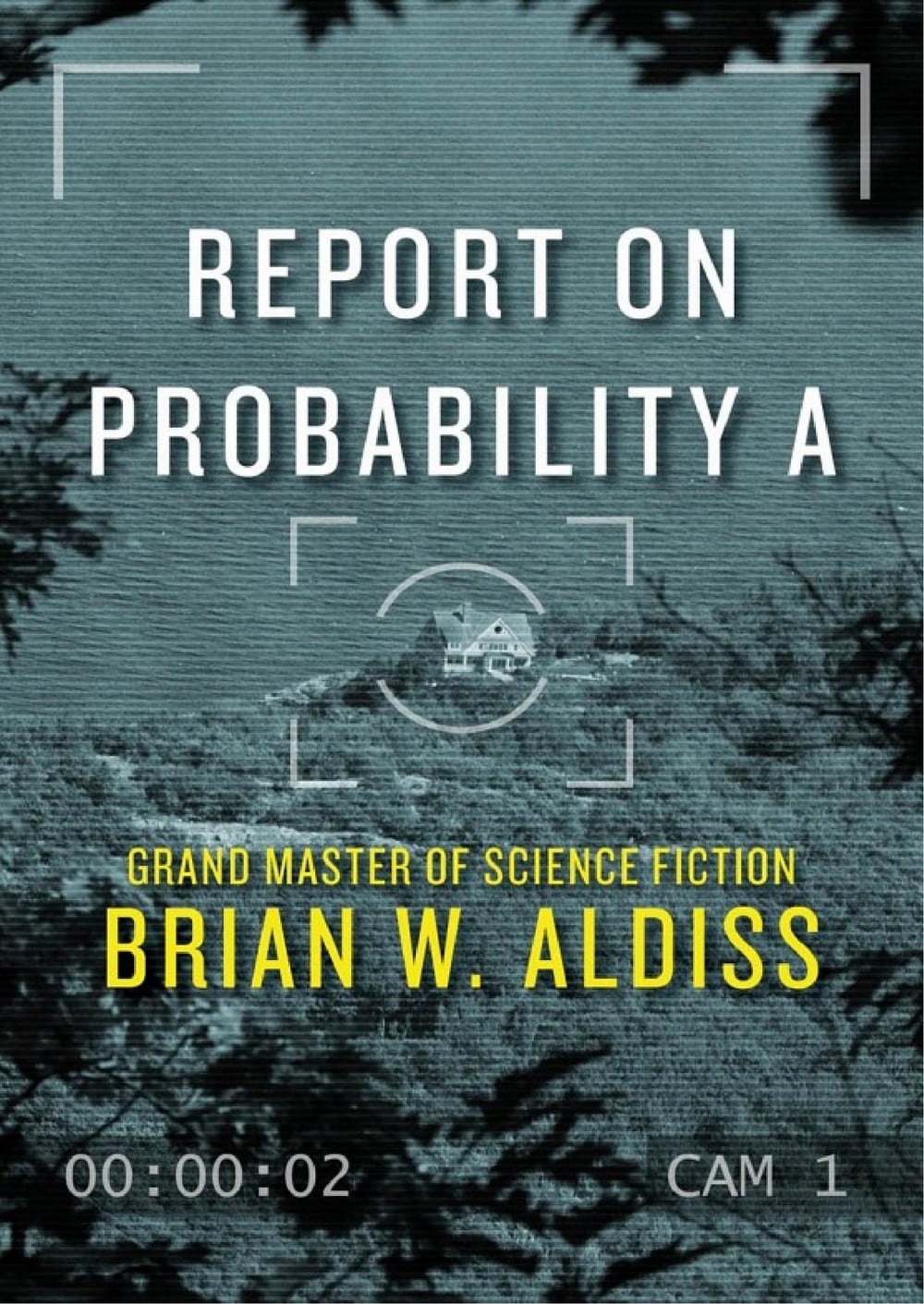 Cover of Report on Probability A