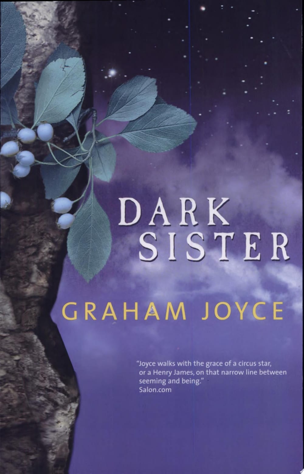 Cover of Dark Sister