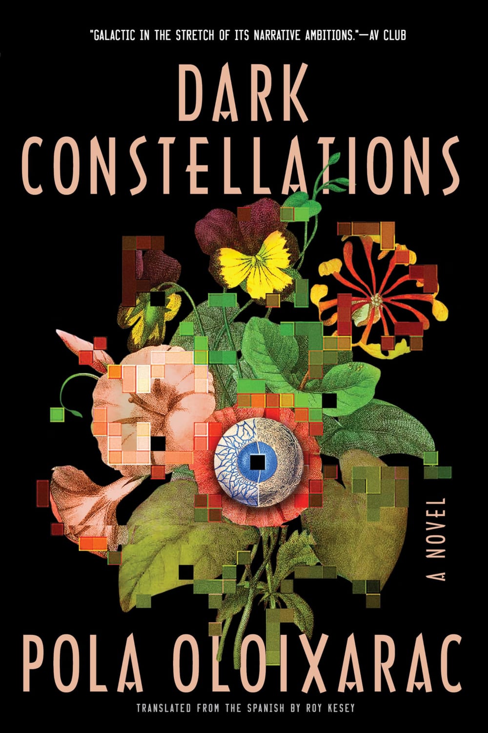 Cover of Dark Constellations