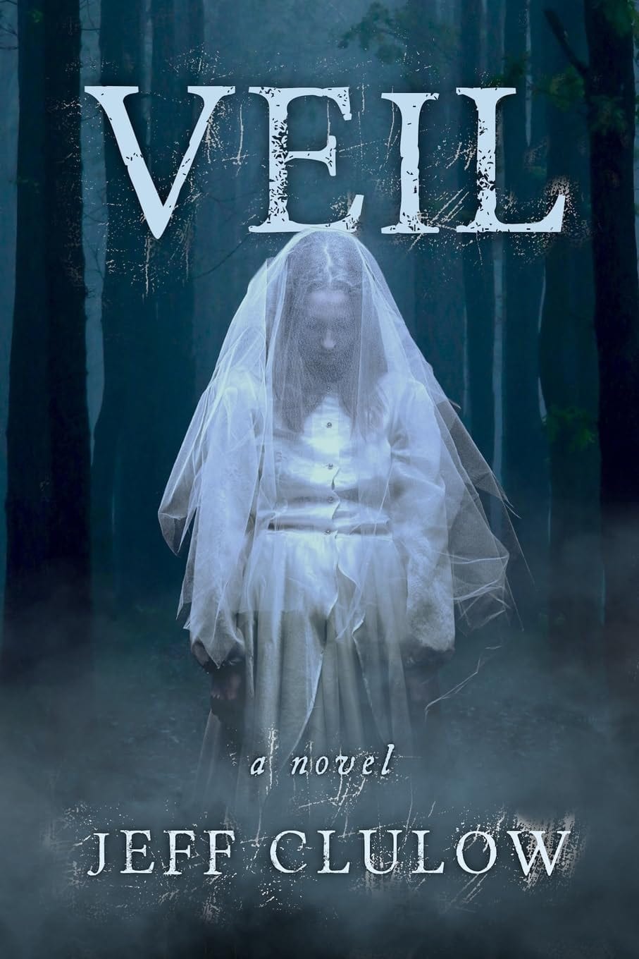 Cover of Veil: A Novel