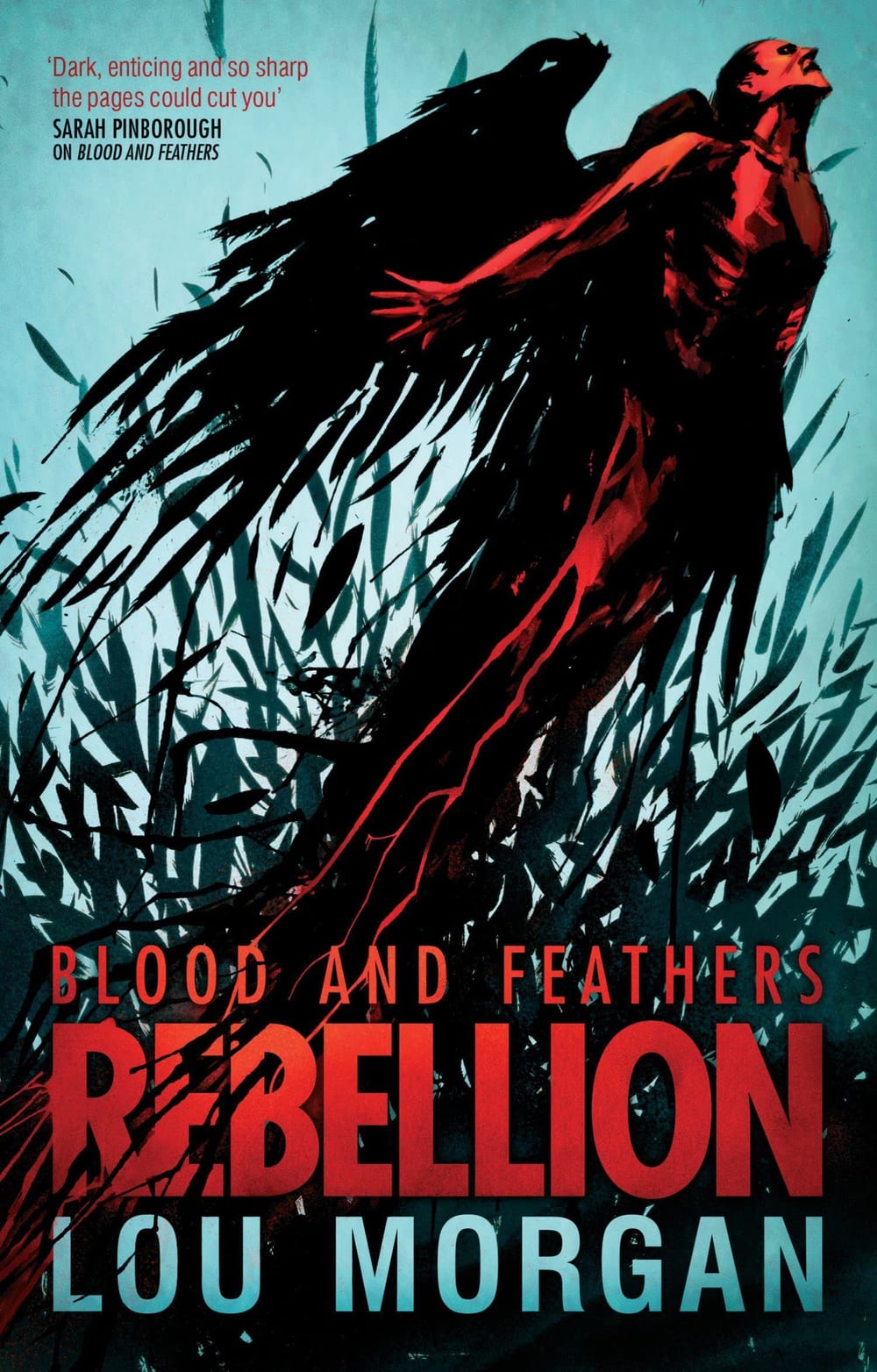Cover of Blood and feathers