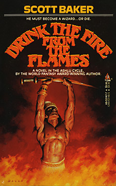 Cover of Drink the Fire From the Flame