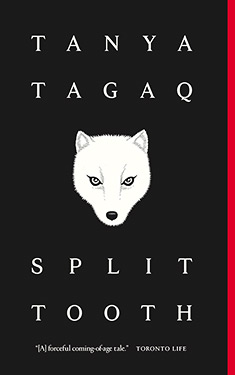 Cover of Split Tooth